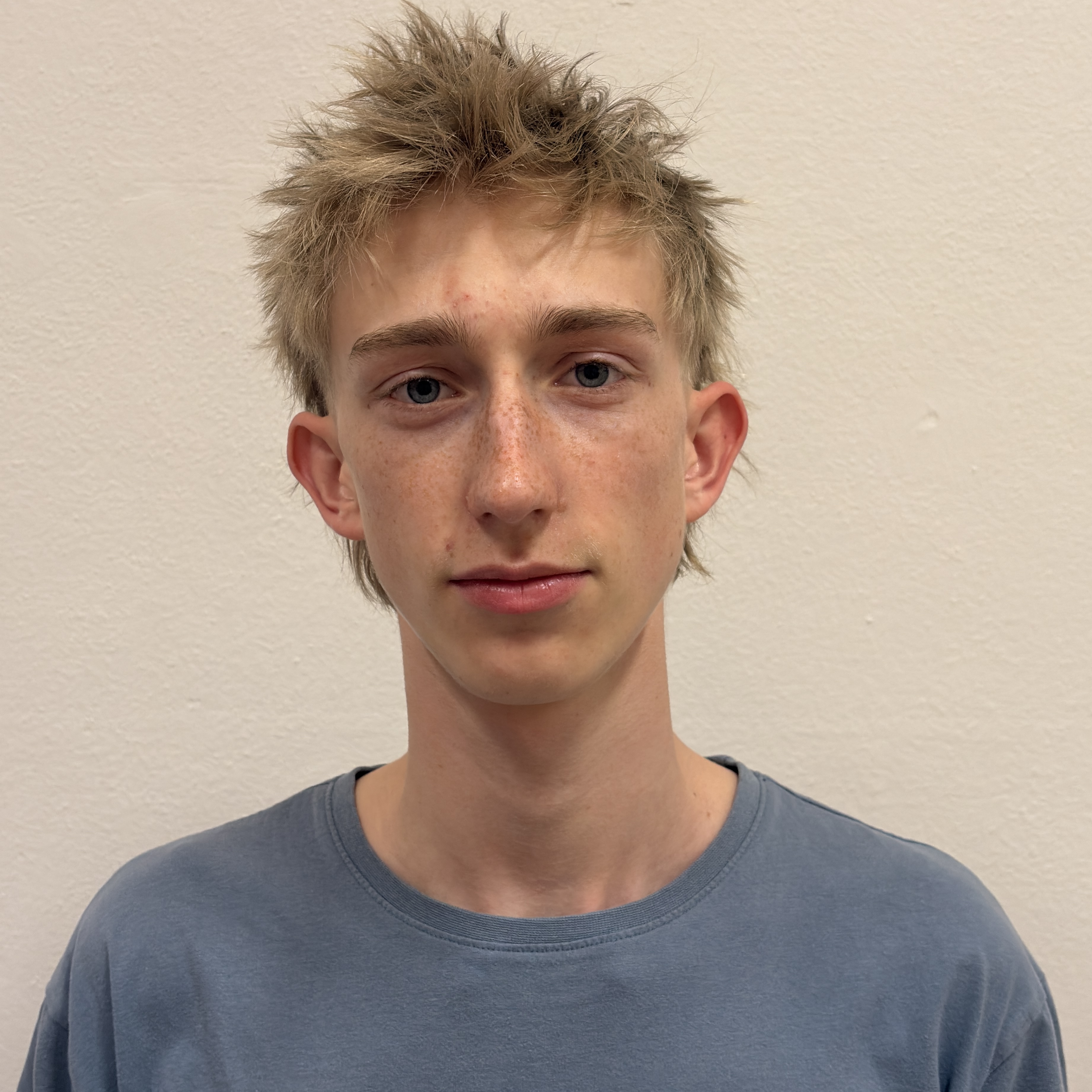 Daniel Auersvald